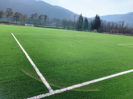 Nogometno igrišče z umetno travo (Nataša M. Kenda) (3)